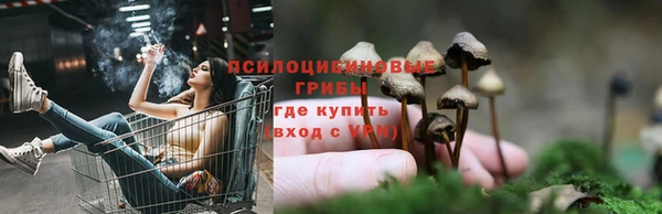 бошки Богородск