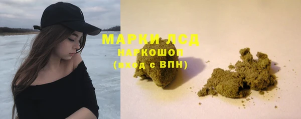 гашик Богородицк