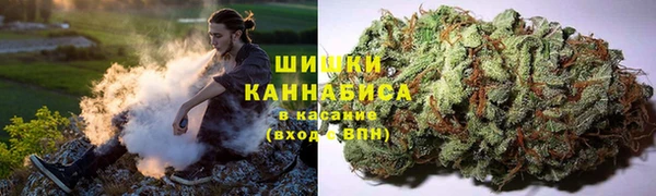 круглые Богданович