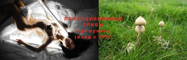 круглые Богданович